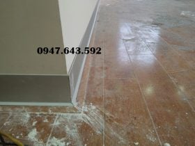 Phào chân tường DCP10